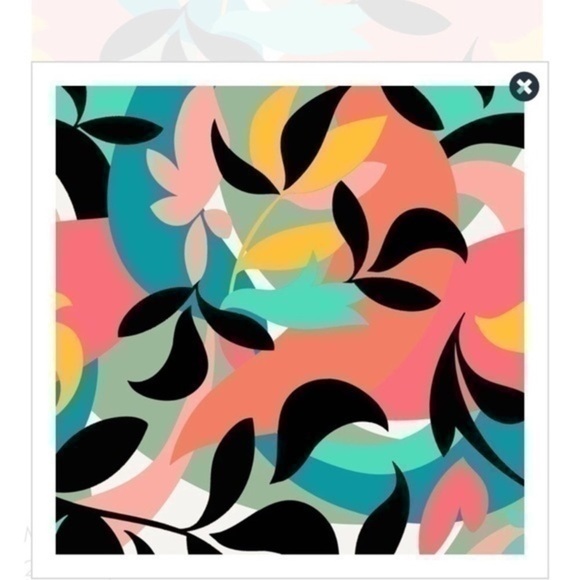 Women’s size small Skye biniki NWT - Picture 2 of 8